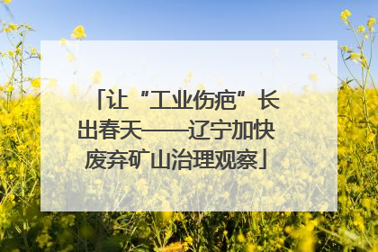 让“工业伤疤”长出春天——辽宁加快废弃矿山治理观察