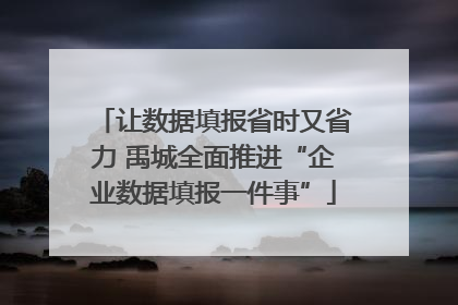 让数据填报省时又省力 禹城全面推进“企业数据填报一件事”