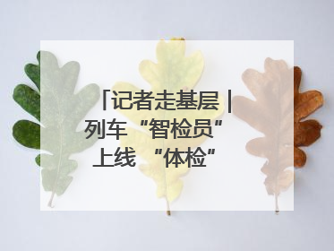 记者走基层｜列车“智检员”上线 “体检”缩短半小时