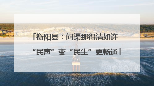衡阳县：问渠那得清如许 “民声”变“民生”更畅通