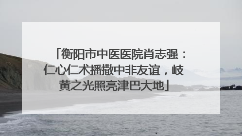 衡阳市中医医院肖志强：仁心仁术播撒中非友谊，岐黄之光照亮津巴大地