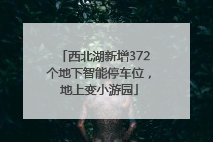 西北湖新增372个地下智能停车位，地上变小游园
