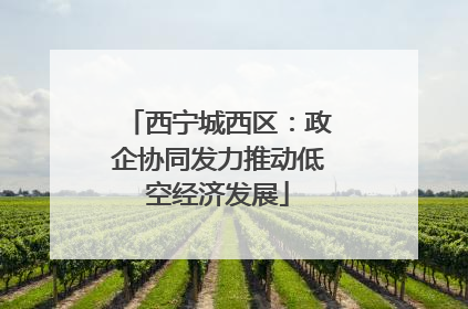 西宁城西区：政企协同发力推动低空经济发展