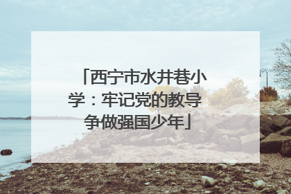 西宁市水井巷小学：牢记党的教导 争做强国少年