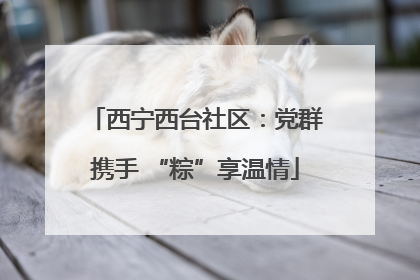 西宁西台社区：党群携手 “粽”享温情