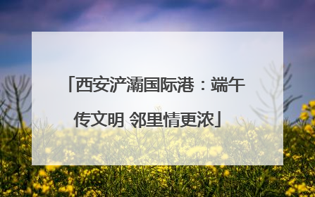 西安浐灞国际港：端午传文明 邻里情更浓