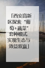 西安高新区探索“葡萄+蔬菜”套种模式 实现生态与效益双赢