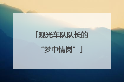 观光车队队长的“梦中情岗”