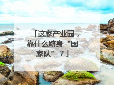 这家产业园，靠什么跻身“国家队”？