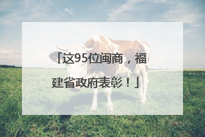 这95位闽商，福建省政府表彰！