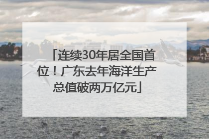 连续30年居全国首位！广东去年海洋生产总值破两万亿元