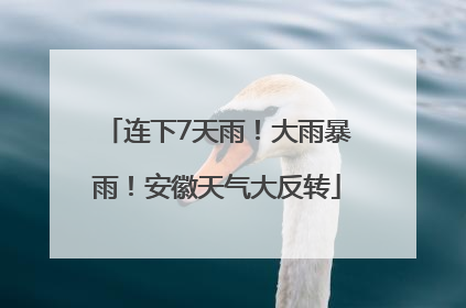 连下7天雨!大雨暴雨!安徽天气大反转