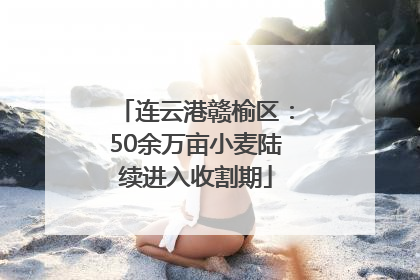 连云港赣榆区：50余万亩小麦陆续进入收割期