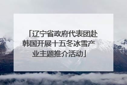 辽宁省政府代表团赴韩国开展十五冬冰雪产业主题推介活动