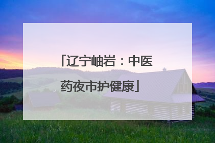 辽宁岫岩：中医药夜市护健康