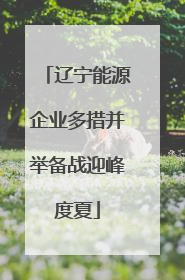 辽宁能源企业多措并举备战迎峰度夏