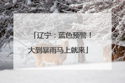 辽宁：蓝色预警！大到暴雨马上就来