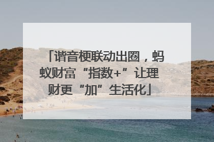 谐音梗联动出圈，蚂蚁财富“指数+”让理财更“加”生活化