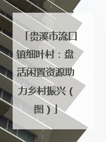 贵溪市流口镇细叶村：盘活闲置资源助力乡村振兴（图）