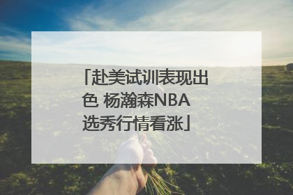 赴美试训表现出色 杨瀚森NBA选秀行情看涨