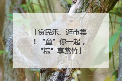 赏民乐、逛市集！“童”你一起，“粽”享紫竹