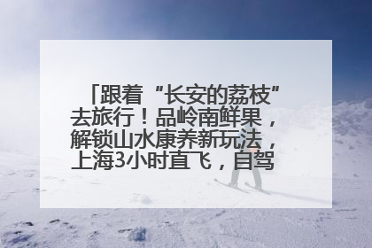 跟着“长安的荔枝”去旅行！品岭南鲜果，解锁山水康养新玩法，上海3小时直飞，自驾高速费优惠