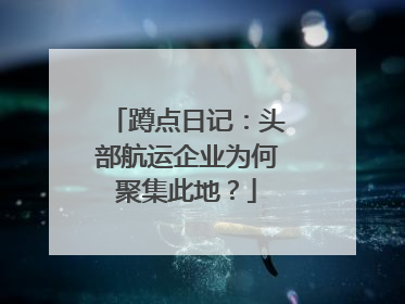 蹲点日记：头部航运企业为何聚集此地？