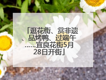 逛花街、赏非遗、品烤鸭、过端午……宜良花街5月28日开街