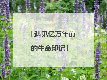 遇见亿万年前的生命印记
