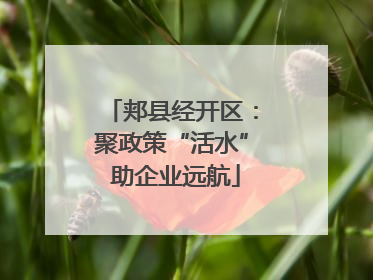 郏县经开区：聚政策“活水” 助企业远航