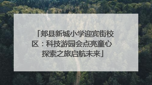 郏县新城小学迎宾街校区：科技游园会点亮童心 探索之旅启航未来