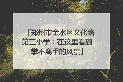 郑州市金水区文化路第三小学：在这里看到拳不离手的风景