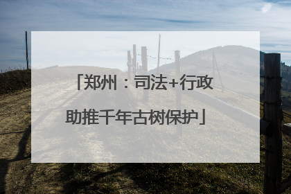 郑州：司法+行政助推千年古树保护