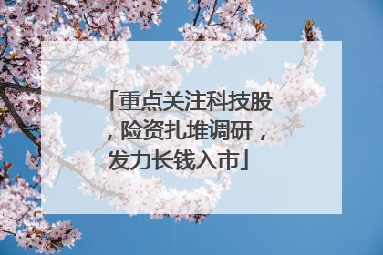 重点关注科技股，险资扎堆调研，发力长钱入市