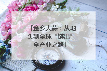 金乡大蒜：从地头到全球“链出”全产业之路