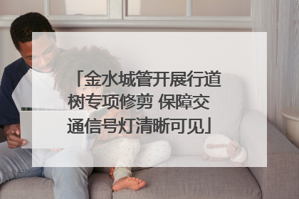 金水城管开展行道树专项修剪 保障交通信号灯清晰可见