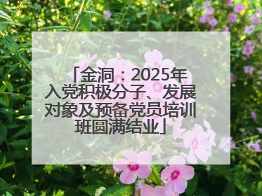 金洞：2025年入党积极分子、发展对象及预备党员培训班圆满结业