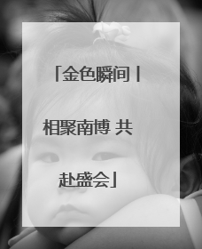 金色瞬间丨相聚南博 共赴盛会