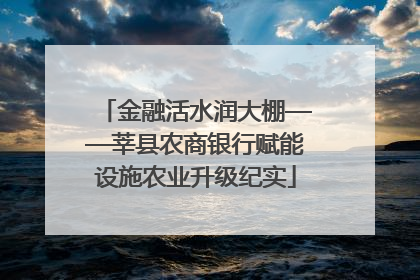 金融活水润大棚——莘县农商银行赋能设施农业升级纪实