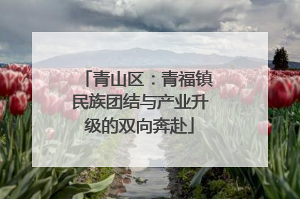 青山区：青福镇民族团结与产业升级的双向奔赴