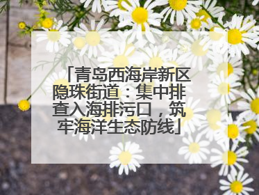 青岛西海岸新区隐珠街道：集中排查入海排污口，筑牢海洋生态防线