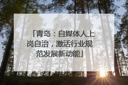 青岛：自媒体人上岗自治，激活行业规范发展新动能