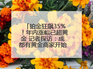 铂金狂飙35%！年内涨幅已超黄金 记者探访：成都有黄金商家开始转战铂金
