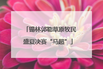 锡林郭勒草原牧民盛夏决赛“马超”