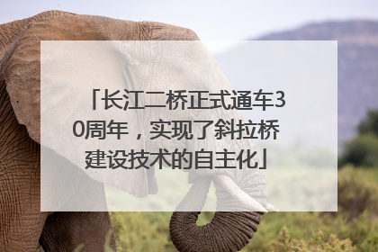 长江二桥正式通车30周年，实现了斜拉桥建设技术的自主化