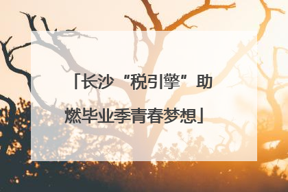长沙“税引擎”助燃毕业季青春梦想