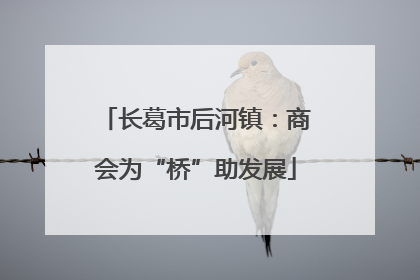 长葛市后河镇：商会为“桥”助发展