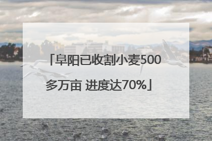 阜阳已收割小麦500多万亩 进度达70%