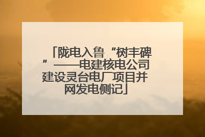 陇电入鲁“树丰碑”——电建核电公司建设灵台电厂项目并网发电侧记