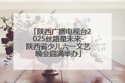 陕西广播电视台2025丝路星未来-陕西省少儿六一文艺晚会圆满举办